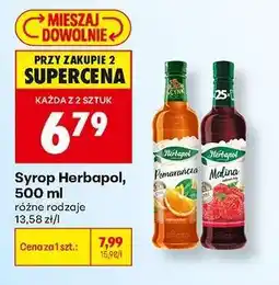 Biedronka Syrop Herbapol, 500 ml oferta