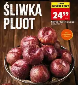 Biedronka Śliwka Pluot oferta