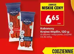 Biedronka Kabanosy Kraina Wędlin 120 g oferta