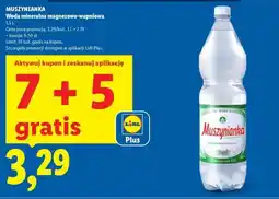 Lidl MUSZYNIANKA oferta