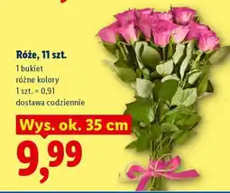 Lidl Róże, 11 szt oferta