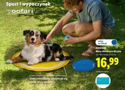 Lidl ZOOFARI Mata chłodząca dla psa oferta