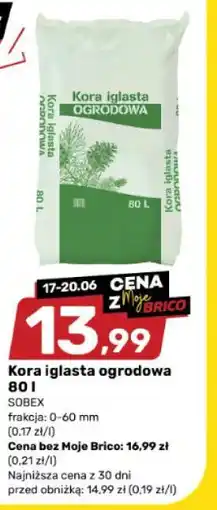 Bricomarche Kora iglasta ogrodowa Sobex oferta