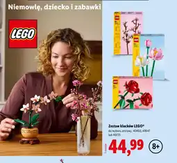 Lidl Zestaw klocków LEGO do wyboru zestawy: 40460, 40467 lub 40725 oferta