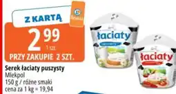 E.Leclerc Serek łaciaty puszysty oferta