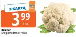 E.Leclerc Kalafior oferta