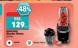 Biedronka Blender Hoffen oferta