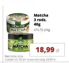 Torimpex Matcha Loyd oferta