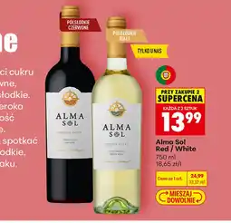 Biedronka Wino Alma oferta