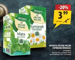 Arhelan Herbata ziołowa Herbapol Zielnik Polski Mięta oferta