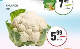 Sedal Kalafior oferta