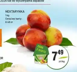 Sedal Nektarynka oferta