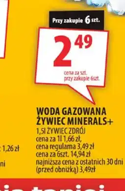 Arhelan Woda gazowana Żywiec Zdrój Minerals+ oferta