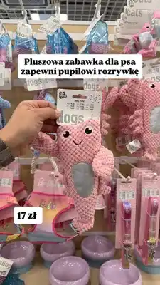Pepco Pluszowa zabawka dla psa For Pets oferta