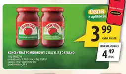 Arhelan Koncentrat pomidorowy Dawtona oferta