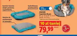 Lidl Legowisko dla psa Zoofari oferta