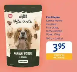 dm drogerie markt Karma mokra dla psów Pan Mięsko Psia Uczta oferta