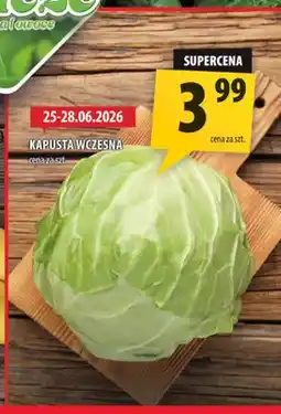 Arhelan Kapusta wczesna oferta