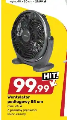 Bricomarche Wentylator podłogowy Voltano 55 cm oferta