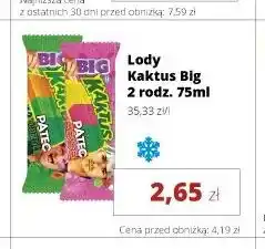 Torimpex Lody Kaktus Big oferta