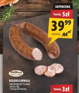 Arhelan Kiełbasa Drwala Pelikan oferta
