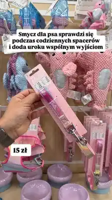 Pepco Smycz dla psa Barbie 2 m oferta