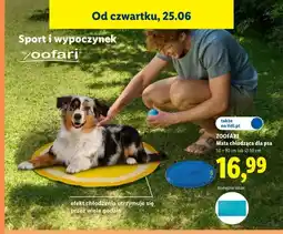 Lidl Mata chłodząca dla psa Zoofari oferta