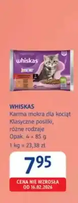 dm drogerie markt Karma mokra dla kociąt Whiskas Klasyczne posiłki oferta
