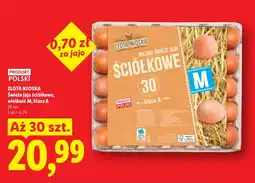 Lidl Jaja Złota nioska oferta