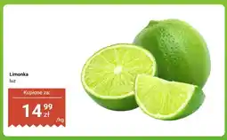 Dino Limonka luz oferta