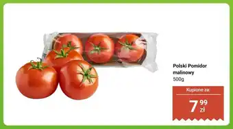 Dino Pomidor malinowy polski oferta