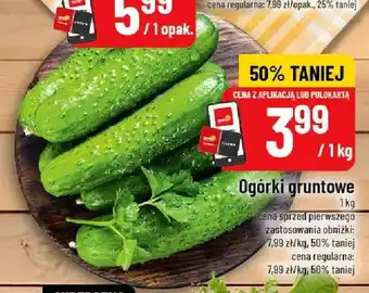 Ogórki gruntowe