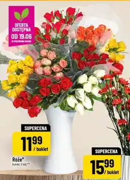 Polomarket Róże oferta