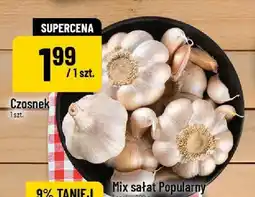 Polomarket Czosnek oferta