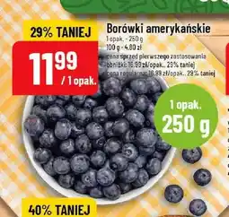 Polomarket Borówki amerykańskie oferta