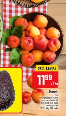 Polomarket Morele oferta