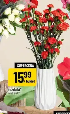Polomarket Goździki oferta