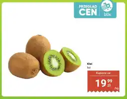 Dino Kiwi luz oferta