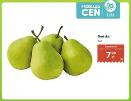 Dino Gruszka luz oferta