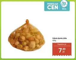 Dino Cebula dymka żółta oferta