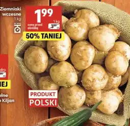 Delikatesy Centrum Ziemniaki wczesne oferta
