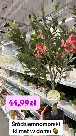 Action Home Accents Artificial Olive tree oferta