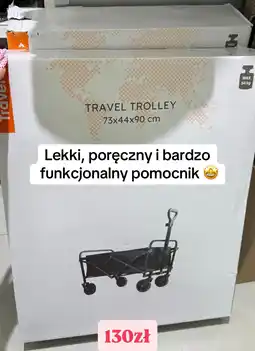 Pepco Travel Trolley 73x44x90 cm oferta