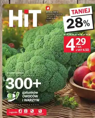Selgros Brokuł oferta