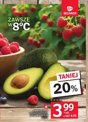 Selgros Awokado Hass oferta