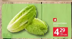 Selgros Sałata rzymska oferta