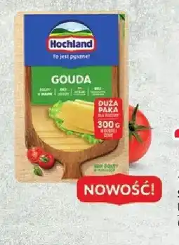 Selgros Ser Gouda w plastrach Hochland oferta