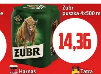 Kupiec Piwo Żubr 4-pak oferta