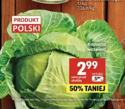 Delikatesy Centrum Kapusta wczesna polska oferta