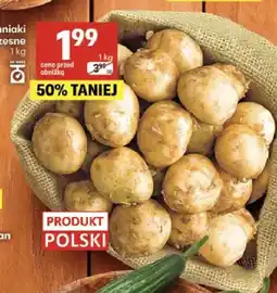 Delikatesy Centrum Ziemniaki wczesne polskie oferta